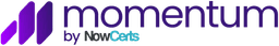 Momentum AMP